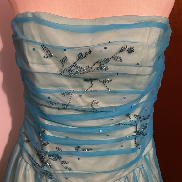 Size 10 Prom or Gala Dress - Picture 2 of 13